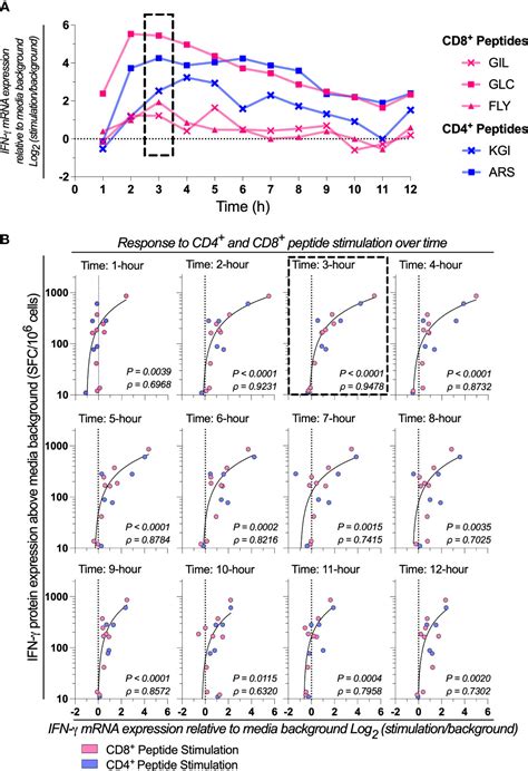 Frontiers A High Throughput Screening Rt Qpcr Assay For Quantifying