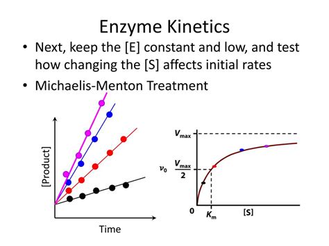 Enzyme Kinetics