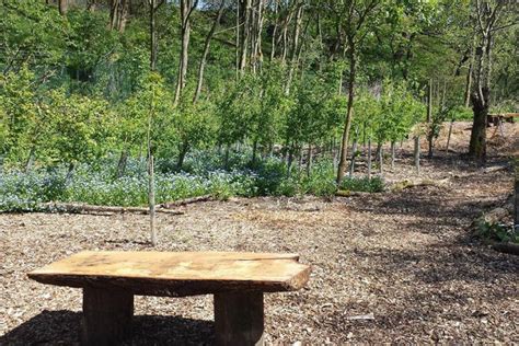 Welcome To Springvale Community Garden Open For Visits Produce And