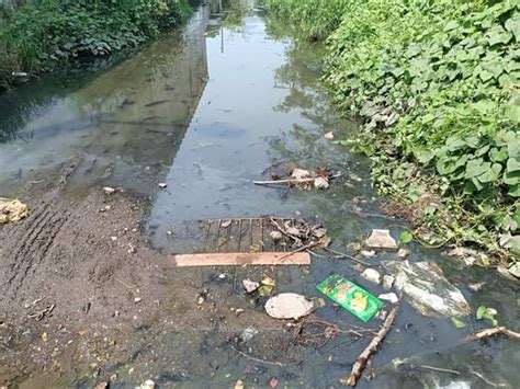 Registros y calles llenas de aguas negras son un foco de infección en