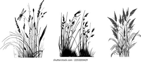 Fish Pond Clipart Black And White