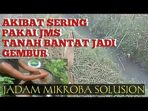 AKIBAT SERING APLIKASI JMS TANAH JADI GEMBUR YouTube