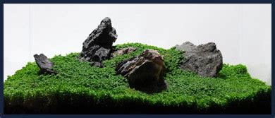 Дизайн аквариумов, оформление аквариума - аквадизайн от Aquzona, Харьков