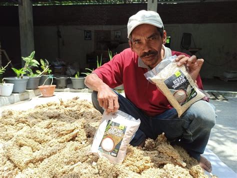 Tak Hanya Jadi Beras Petani Di Jombang Olah Sorgum Jadi Berbagai Bahan