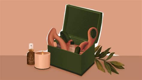 Dia Do Sexo Veja Sex Toys Para Comemorar Ou Sem Companhia Uol Universa