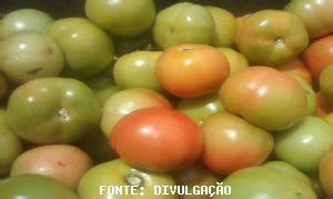 Tomate Cepea Pre Os Seguem Em Queda O Aumento De Oferta Hf Brasil