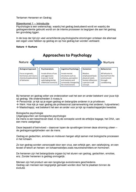 Samenvatting Hersenen En Gedrag Bijeenkomst En Tentamen