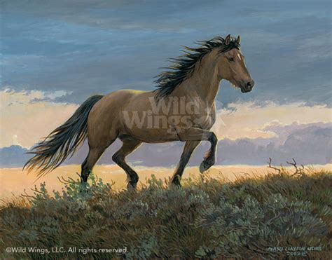 Buckskin Horse Painting At Explore Collection Of