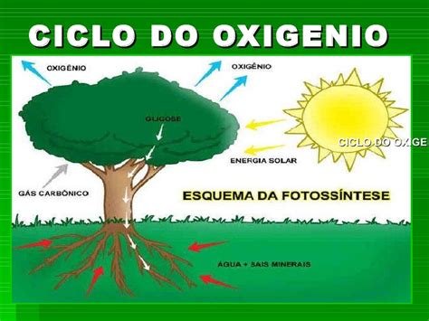 Di Rio Da Biologia Na Escola Junho