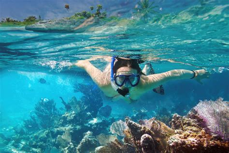 Cozumel Snorkeling Tour And El Cielo Best Tours In Cozumel