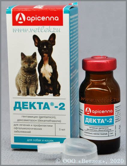 Декта-2 глазные капли, фл. 5 мл купить в ветеринарном интернет-магазине ...