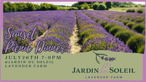 Sunset Picnic Dinner Sequim Lavender Trail