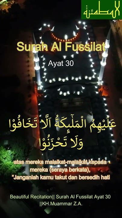 Beautiful Recitation Surah Al Fussilat Ayat 30 Khmuammar Za