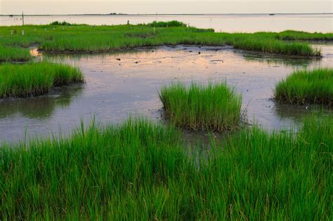 EPA Releases Report Showing Nearly Half Of Nations Wetlands In Good