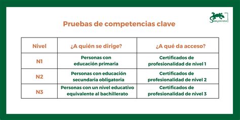 Qué son las competencias clave y cómo certificarlas El Blog de