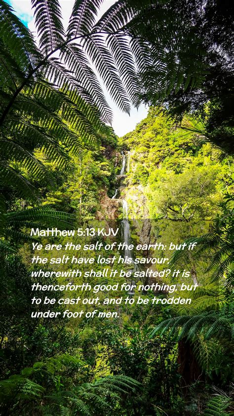 Matthew 5 13 KJV Mobile Phone Wallpaper Ye Are The Salt Of The Earth