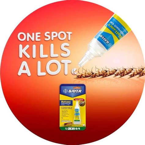 Bayer Blattanex Cockroach Gel Shopee Philippines