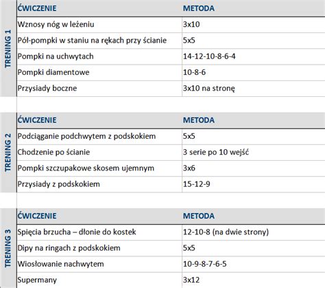 Kalistenika i plan treningowy Zaczynamy pracę nad siłą KompaktowyTrening