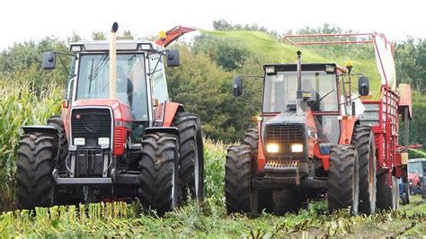 Massey Ferguson 3680 In The Field Chopping Corn W Taarup 605B Forage