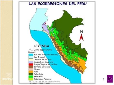 Descubre La Maqueta De Las Ecorregiones Del Perú Enero 2025