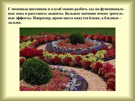 Цветы в саду - презентация онлайн