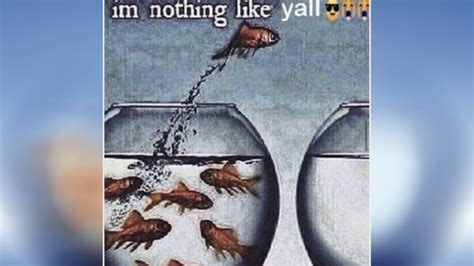 What Is The Im Nothing Like Yall Meme The Origins Of The Fish