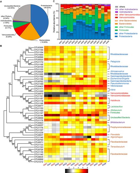 Phylum And OTU Level Gut Microbiota Composition Of The Shrimps A The