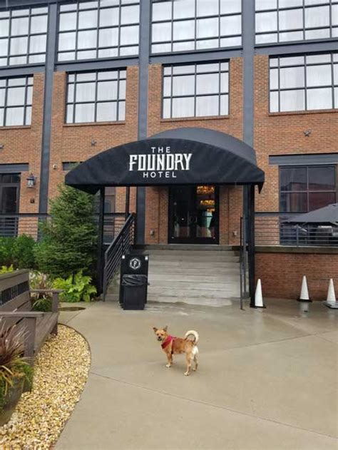 Best Pet Friendly Hotels - Foundry Hotel Asheville, Curio Collection By Hilton - Asheville, NC