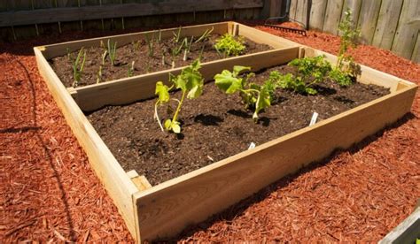 Choosing The Right Soil For Your Raised Garden Beds Your Diy Backyard