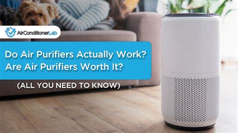 Do Air Purifiers Really Work Are They Actually Worth Your Money