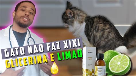 Remedio Caseiro Para Gato Que N O Consegue Urinar Youtube