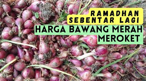 Update Harga Bawang Merah Hari Ini Di Pasar Sukomoro Nganjuk Harga