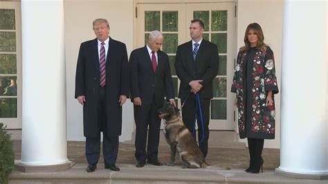 President Trump Welcomes Conan Heroic Military Dog Who Assisted In