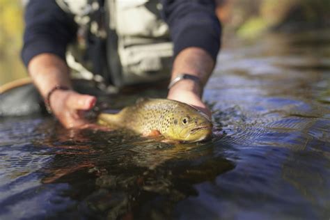 Fishing Brazos River - Complete Guide to this Texas River - CatchMeFishing