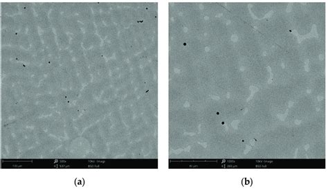 SEM Images Of The CCc 3 Sample After Corrosion Tests At A 500 B