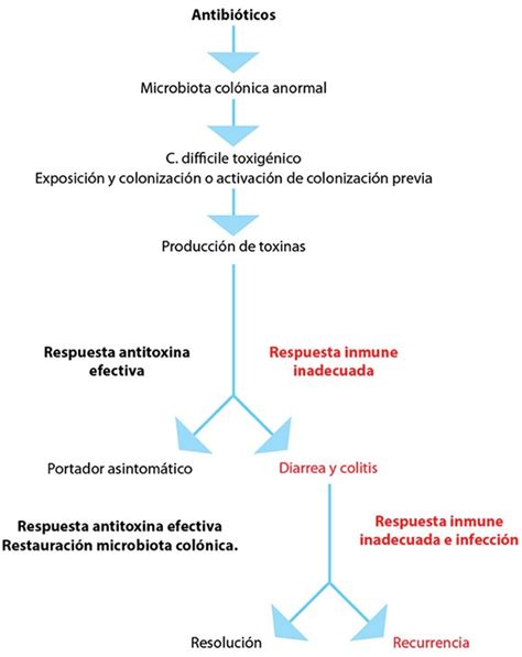 Toxiinfección debida a Clostridium difficile Cibic Laboratorios