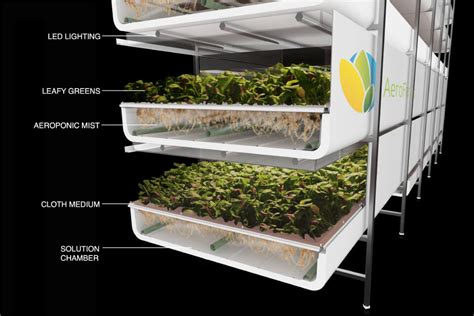 The Future Of Food Hydroponics Aquaponics And Aeroponics Agriculture