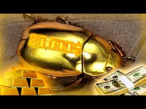 САМЫЙ ДОРОГОЙ ЖУК В МИРЕ (ЖУК-ОЛЕНЬ) — Lucanus - YouTube