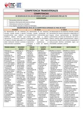 Competencia Transversales Tic Pdf