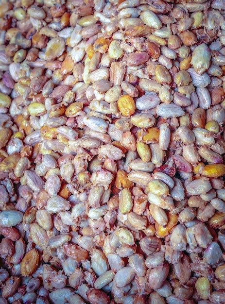 Premium Photo Fresh Cocoa Beans Or White Cocoa Seeds In Vats To