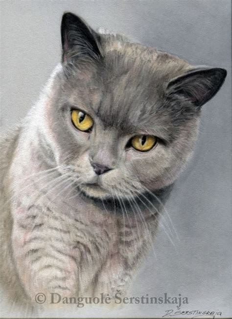 Котенок нарисованный карандашом для срисовки » Собачки и кошечки