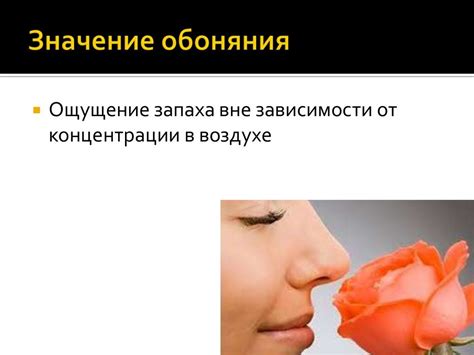 Органы осязания, обоняния, вкуса - презентация онлайн