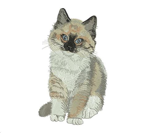 Ragdoll Kitten Embroidery Design Design For Embroidery Machine