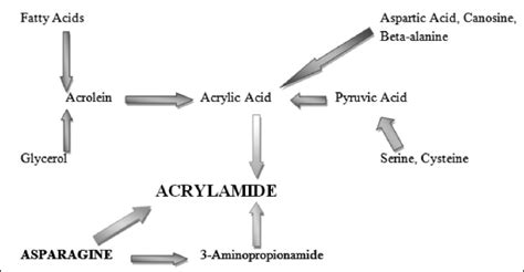 Basic Pathways For The Formation Of Acrylamide In Foods Designed And Download Scientific