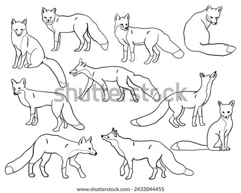 Fox Images Cartoon Photos Images And Pictures Shutterstock