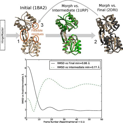 Procedure For Morphing And Recapitulating An Intermediate With Ribose