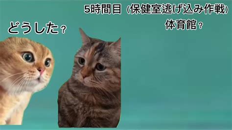 【猫ミーム】猫の一日 パート2猫ミーム猫マニ Youtube