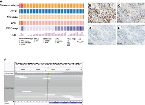 Frontiers Next Generation Sequencing Reveals A Very Low Prevalence Of