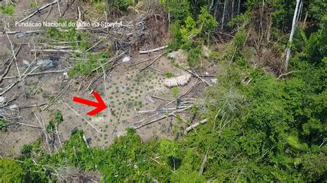 Incredible drone footage shows isolated Amazon tribe | Fox News