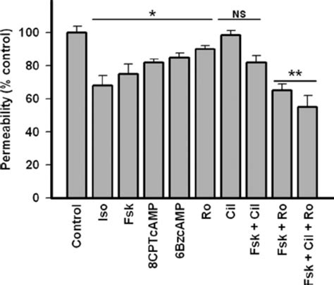 cAMP-elevating agents or selective activators of PKA or EPAC decrease ... 